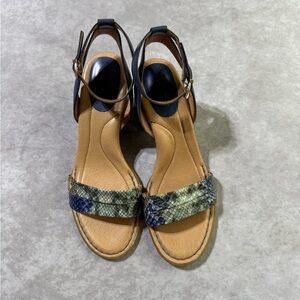Born Black and Tan Snakeskin Sandals